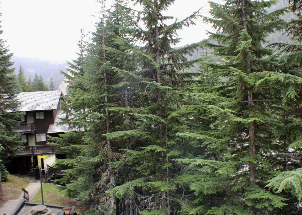 Crystal Chalets Greenwater Exterior foto