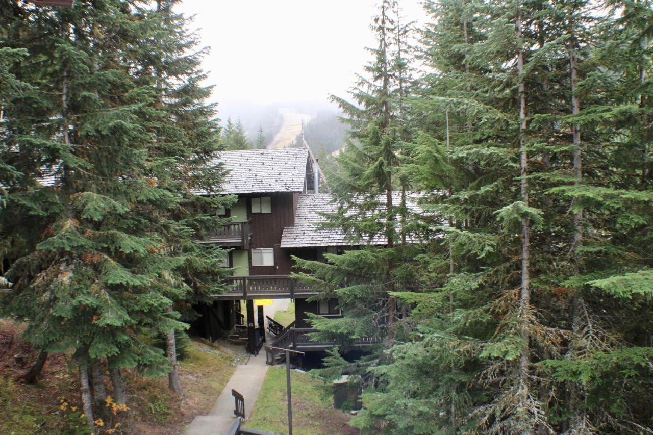 Crystal Chalets Greenwater Exterior foto